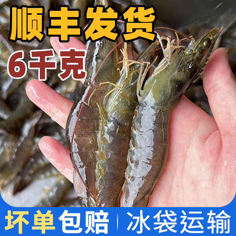 【顺丰包邮】盐田虾冻虾