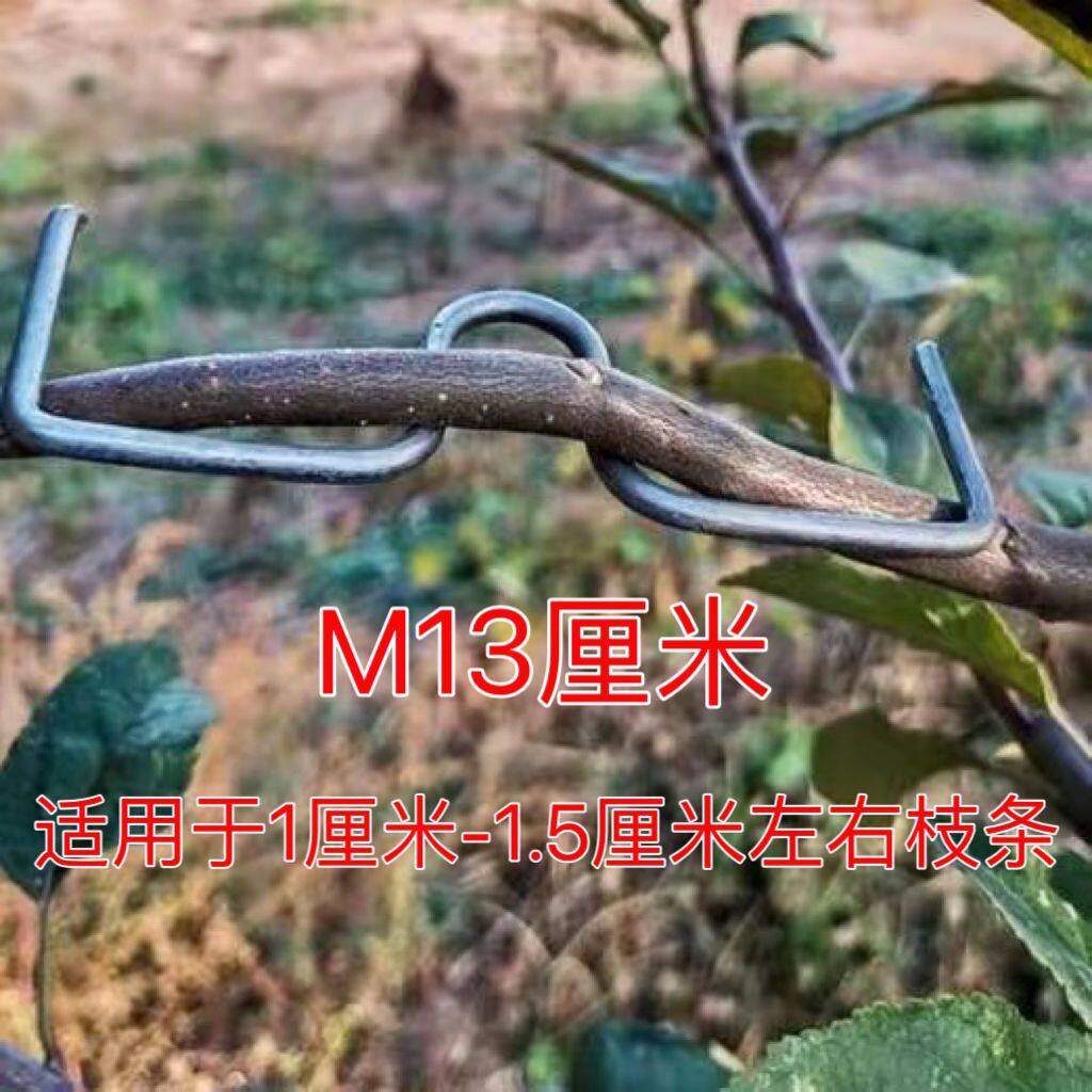 果树拉枝定型器m型拉枝器果树弯其它园艺用品