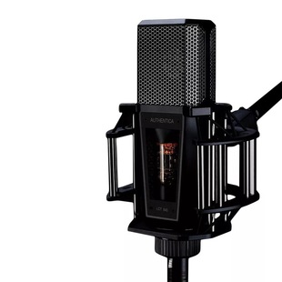 LEWITT/莱维特LCT840专业电脑录音麦克风配音主播K歌直播唱歌话筒