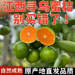 【现摘】江西寻乌蜜桔无籽薄皮桔子蜜橘子当季新鲜水果4.5斤/9斤