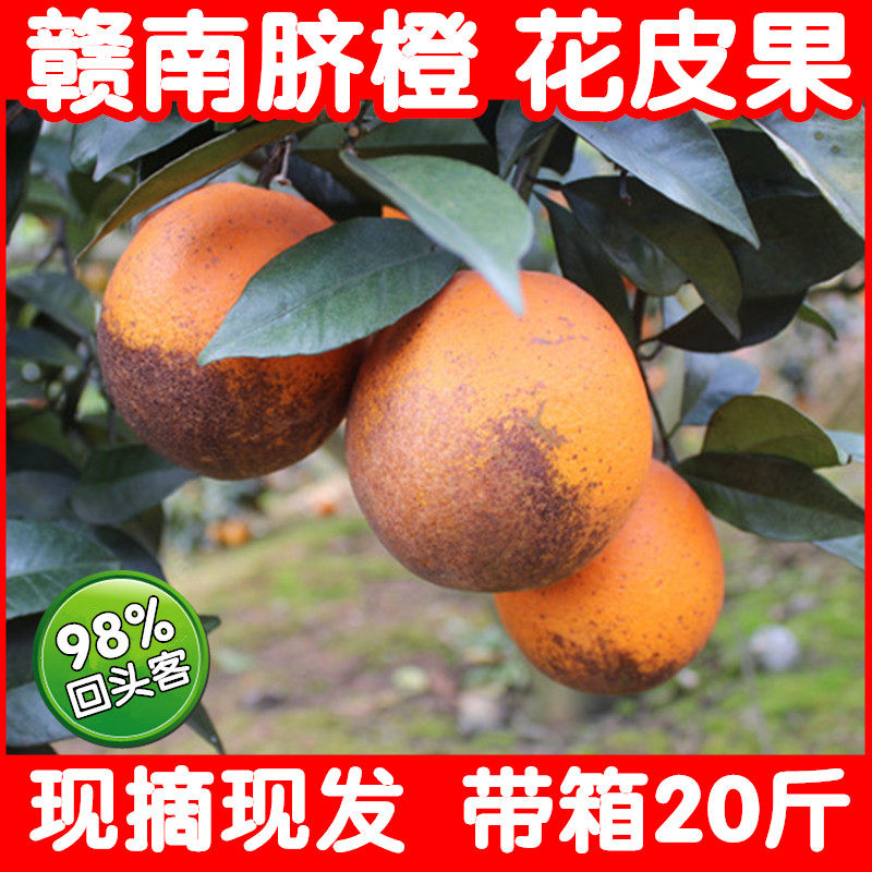 江西赣州赣南脐橙18.5斤丑橙子
