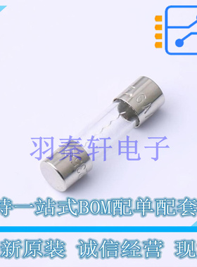 一次性保险丝 0235006.HXP - 全新原装进口