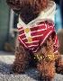 Tina chị với trang phục chó mới xuân hè với áo len sọc cotton Teddy Bear Bull Fighting - Quần áo & phụ kiện thú cưng quần áo cho thú cưng
