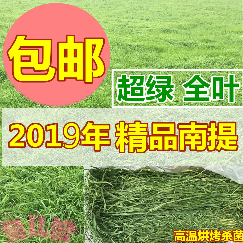 2024新精品提摩西兔子龙猫荷兰猪兔粮南提牧草干草毛重1千克包邮