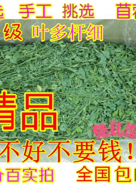 2021新草叶子多紫花苜蓿草兔子荷兰猪龙猫牧草兔粮干草毛重1000