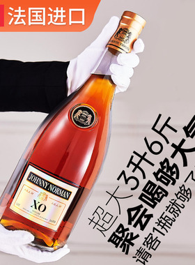 法国进口白兰地酒XO大瓶3L六斤礼盒装调酒基酒纯饮外国洋酒烈酒