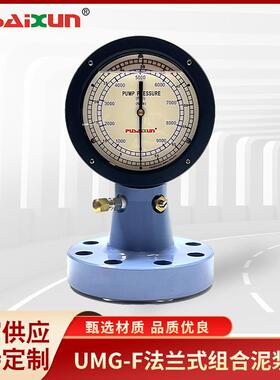 泥浆泵压压力表吊钳扭矩压力测量表UMG-F法兰式组合泥浆测压表