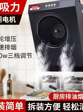 公寓写字楼小尺寸炸鸡汉堡商用油烟机家用油烟中小型直排强力静音