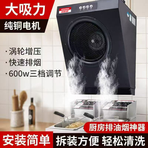 公寓写字楼小尺寸炸鸡汉堡商用油烟机家用油烟中小型直排强力静音