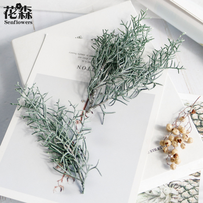 日本大地农园圣诞松针鹿角松01260拍摄道具圣诞树装饰diy永生花