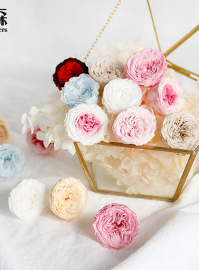 国产巧克力奥斯汀单色渐变色3-4永生花diy装饰搭配保鲜花玻璃罩