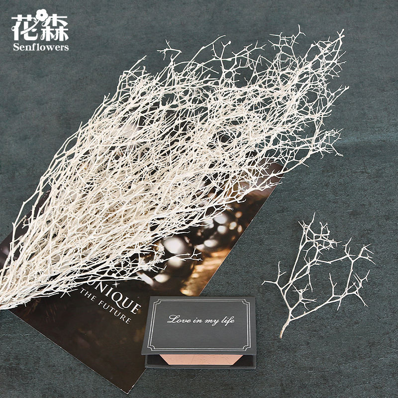 大地农园树枝diy白色立体干花