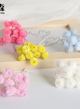 进口日本大地农园千层菊小扣菊32052材料包diy手工装饰干花永生花