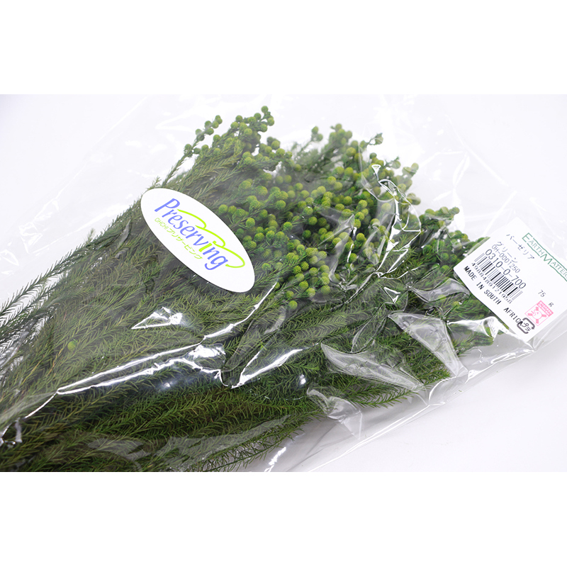 日本进口大地农园绿色小足球配材