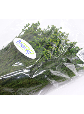 日本进口03100-700绿色小足球大地农园永生花果子配材Diy手工花材