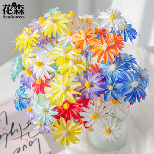 文心兰天然植物木槿花手工DIY艺术干花家居装饰插花小清新小滨菊