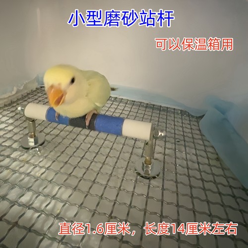 收养鸟保温箱站架鞍马站架磨爪