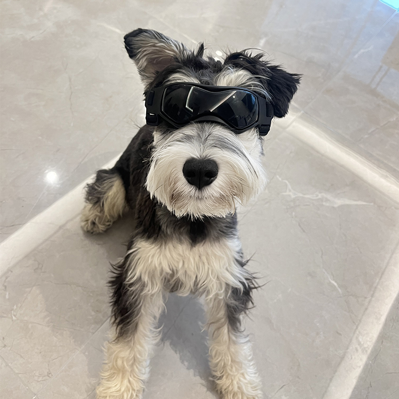 新款！！！宠物狗狗眼镜！