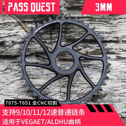 PASS QUEST 3mm Rotor曲柄 直装正负齿单盘Vegast Aldhu