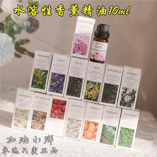 香香公主请上车～水溶性香薰精油10ml加湿器喷香机扩香机植物香氛