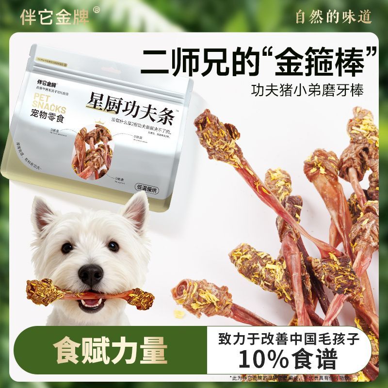 伴它金牌猪小弟金丝皇菊