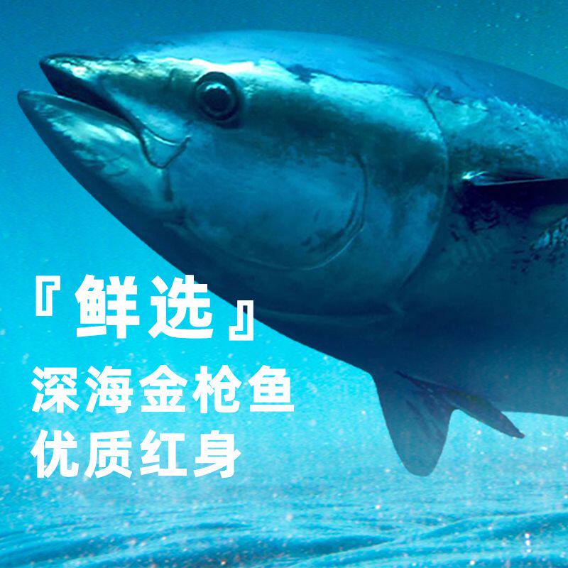 猫罐头整箱金枪鱼猫扑48