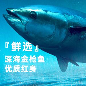 猫罐头整箱金枪鱼猫扑48