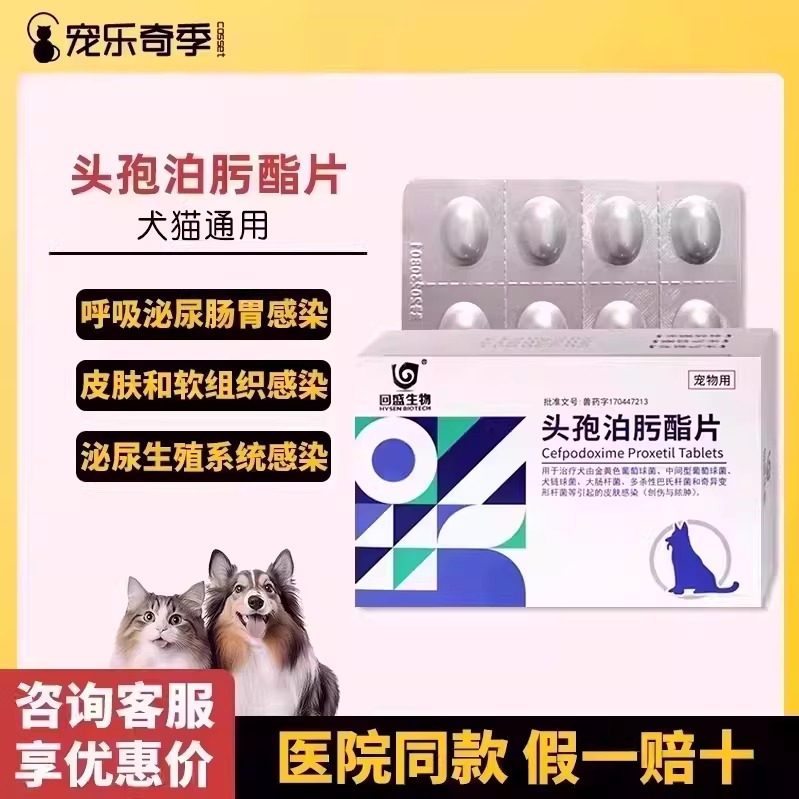 回盛头孢泊肟酯片猫狗皮肤病真菌细菌脓皮症消炎感冒泌尿感染猫咪,淘宝优惠券,粉丝福利购,淘宝优惠卷