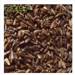 新采药材种子 金线莲种子 南 北苍术丹参党参柴胡桔梗板蓝根种子