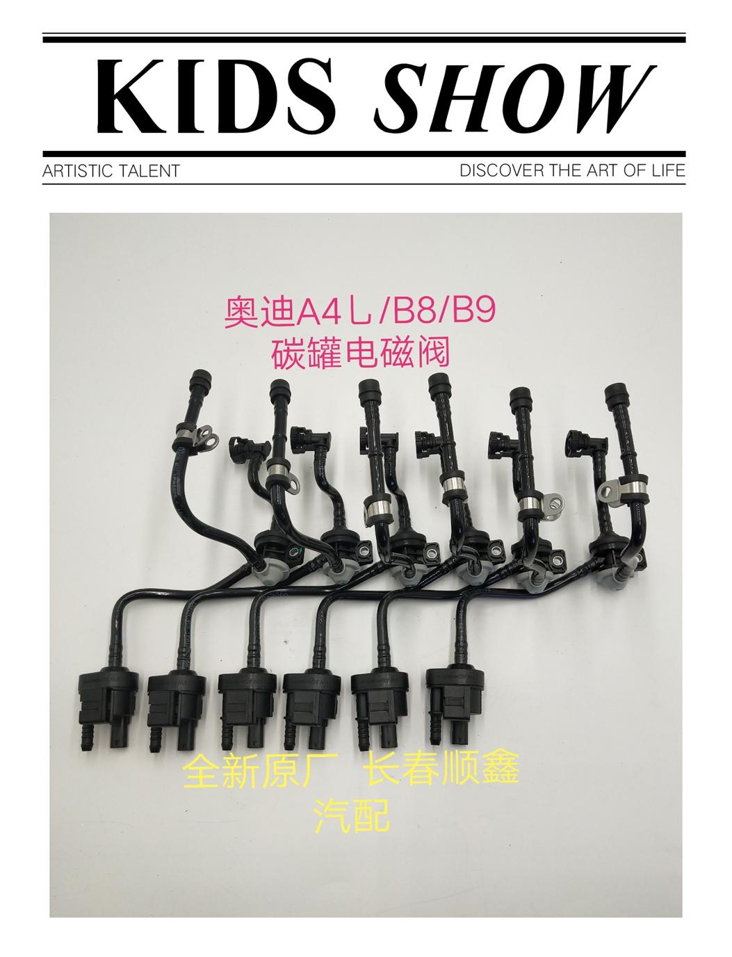 奥迪A4L/B8/B9/Q5/A6L碳罐电磁阀 活性碳罐电磁阀 进气支管连接管