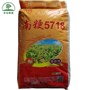南粳5718水稻种子优质高产圆粒型常规粳稻直播水稻谷香米种子籽种