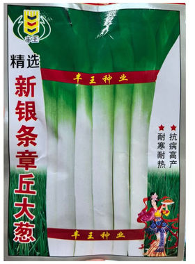 新银条章丘大葱种子中华巨葱种子抗热抗寒耐冻抗病高抗倒伏春秋播