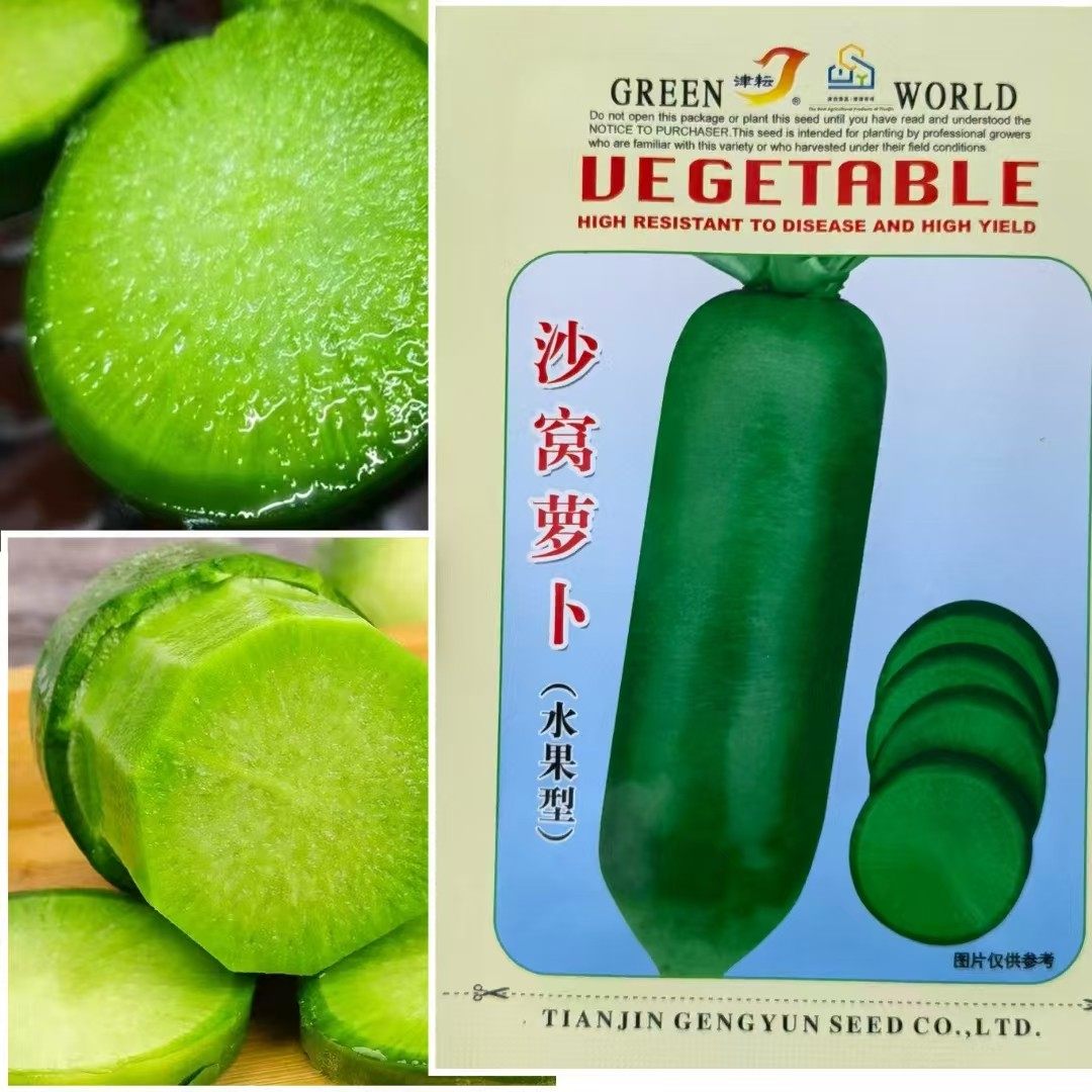 水果沙窝萝卜种子青皮绿肉杂交萝卜种子大田小院秋季播种,农用物资,蔬菜种子/种苗,淘宝优惠券,粉丝福利购,淘宝优惠卷