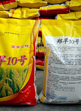 郑旱10号旱稻种子优质高产圆粒节水抗旱抗倒水十号稻谷常规稻种子