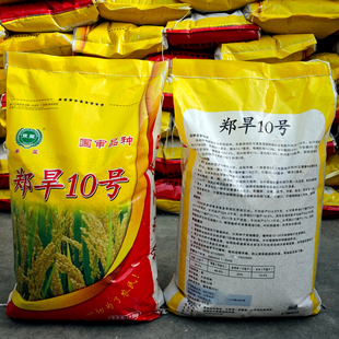 郑旱10号旱稻种子优质高产圆粒节水抗旱抗倒水十号稻谷常规稻种子
