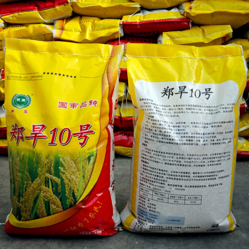 郑旱10号旱稻种子优质高产圆粒节