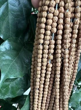 2026天然迷你佛手小金刚菩提五爪金龙小佛手金刚多圈高密红皮佛手