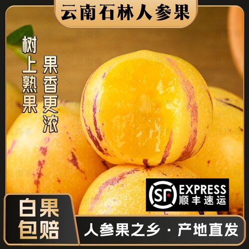 觅南香1  树上熟 白果包赔人参果 云南石林果黄肉圆果 自然