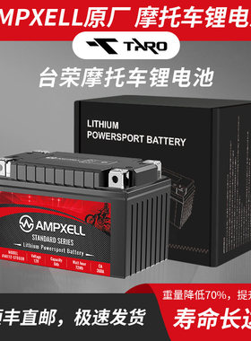 台荣GP1/GP2/TR200/TR400/探路者TR300T适用摩托车锂电池电瓶12v