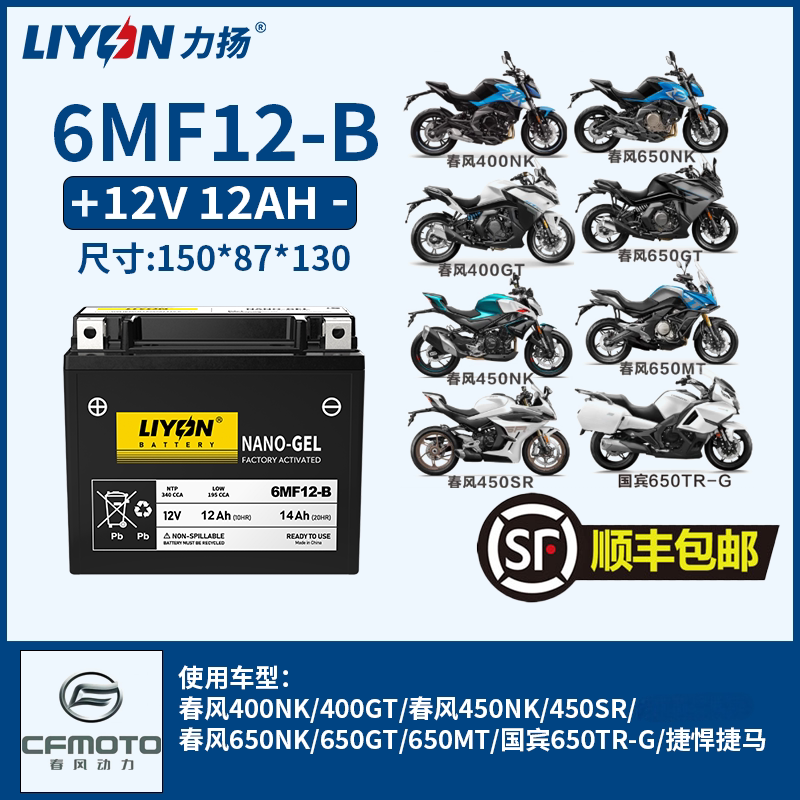 力扬电瓶春风400NKGT450NKSR 650NKGT/MT国宾650TR-G捷悍捷马电池