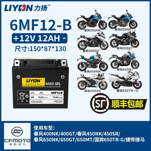 力扬电瓶春风400NKGT450NKSR 650NKGT/MT国宾650TR-G捷悍捷马电池