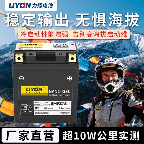 力扬电池三阳巡弋150巡弋180巡弋250巡弋300九妹Z300 摩托车电瓶