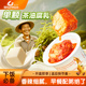 舜华豆腐乳湖南特产小徐瓜瓜开盒即食香辣辣椒酱解馋食品下饭菜