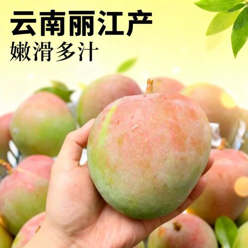 苹果芒 皮薄肉厚果核小 新鲜当季芒果