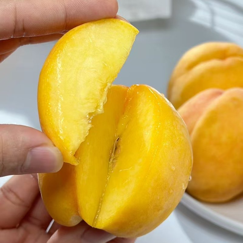 【顺丰+彩箱】山东蒙阴沂蒙山黄桃黄毛桃当季新鲜水果