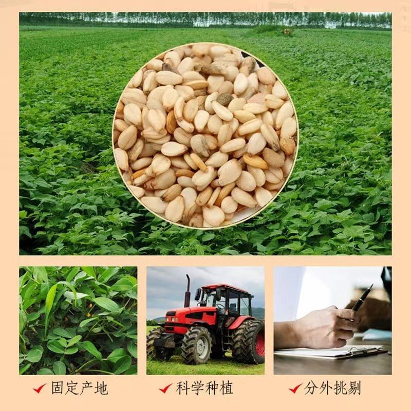 【2斤芝麻酱】石磨芝麻酱麻汁芝麻酱火锅蘸料D
