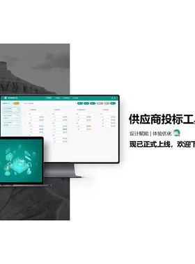 国网office2010 2013 2016完整版远程安装标书招投标国家电网优泰