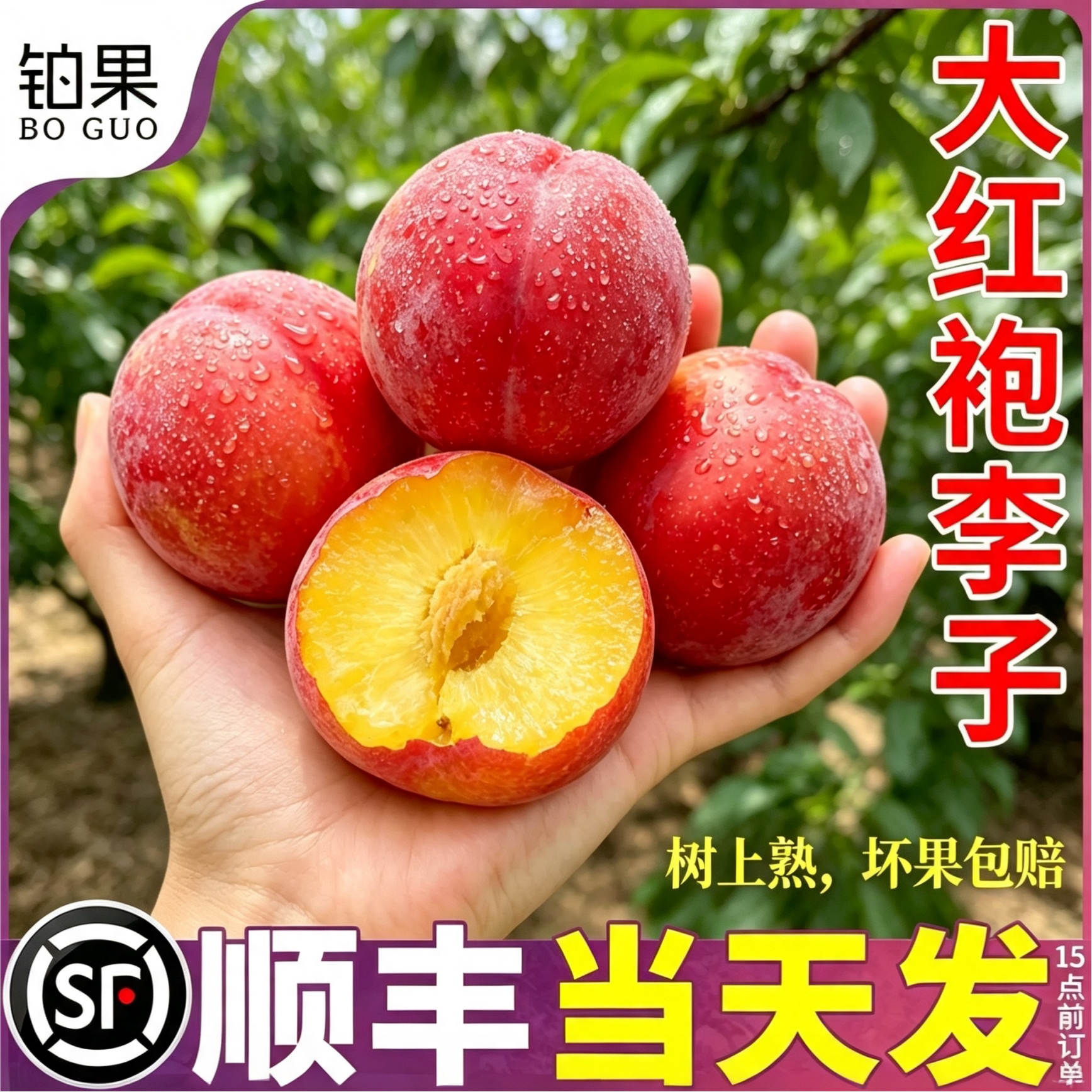 多红就有多甜!顺丰礼盒大红袍李