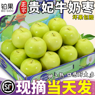 顺丰包邮正宗牛奶枣贵妃礼盒大青枣新鲜水果9斤现摘鲜果当季整箱