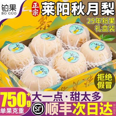 顺丰礼盒装莱阳秋月梨丨送礼必备